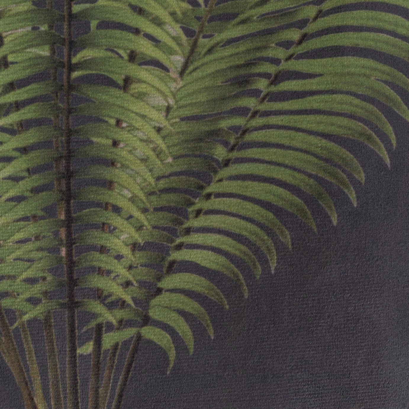 Habitat Graphic Palm Printed Throw - Black - 125X150cm 2 Habitat Graphic Palm Printed Throw - Black - 125X150cm - Image 2